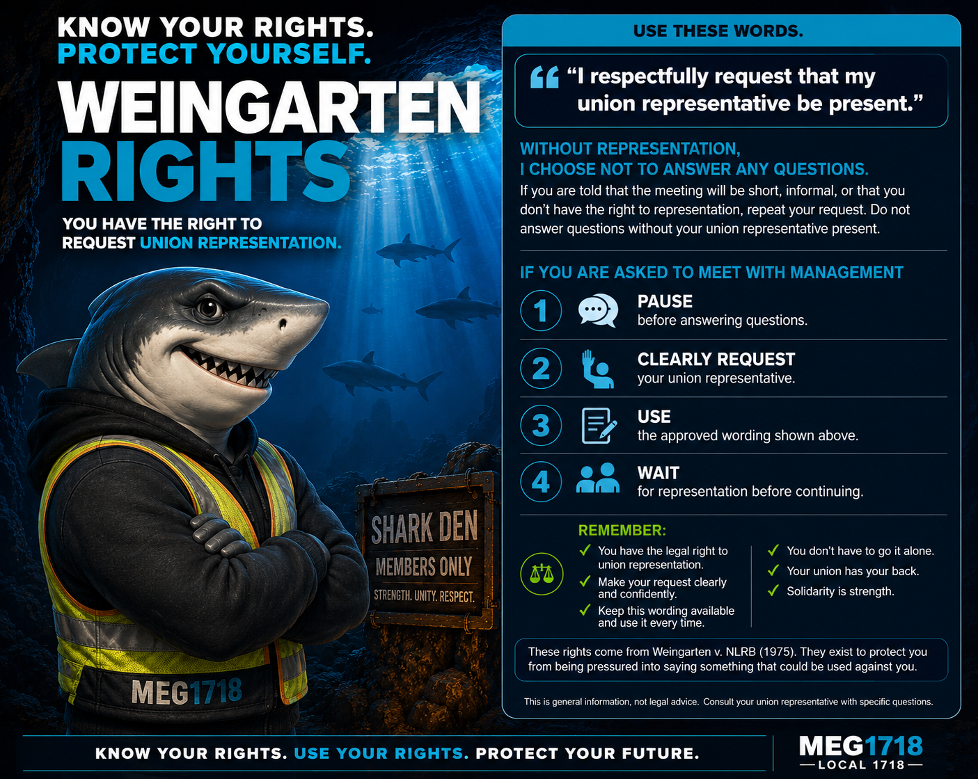 MEG1718 shark worker wearing a safety vest in the Shark Den.